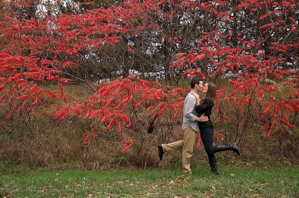blue mountain village photographer collingwood photographer blue mountain engagement fall collingwood photographer