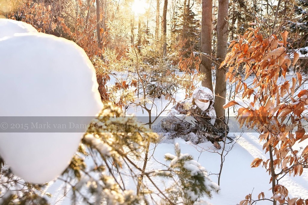 winter hunting photography A188