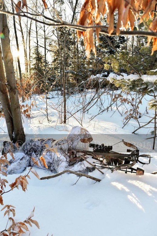 winter hunting photography A223