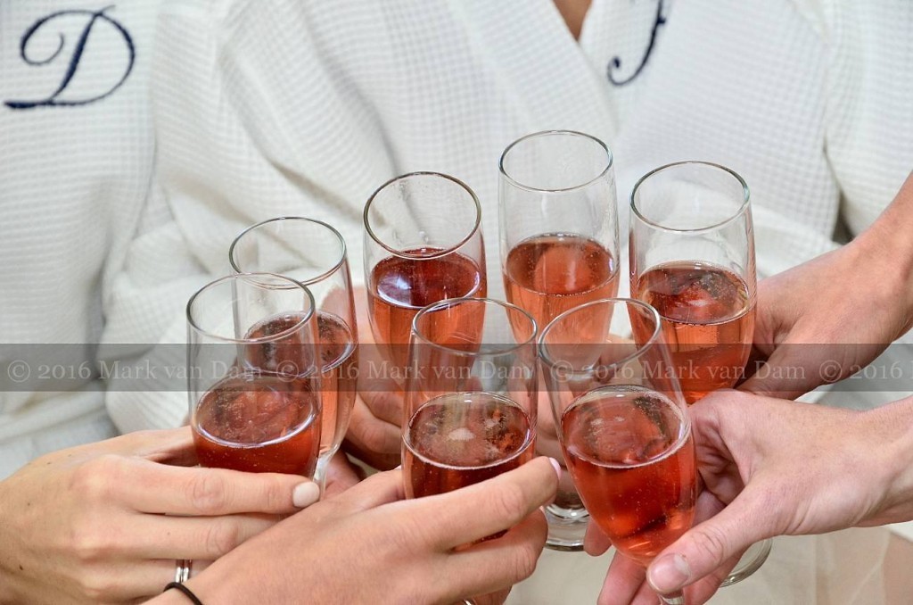 collingwood photographer georgian bay club wedding barrie photographer