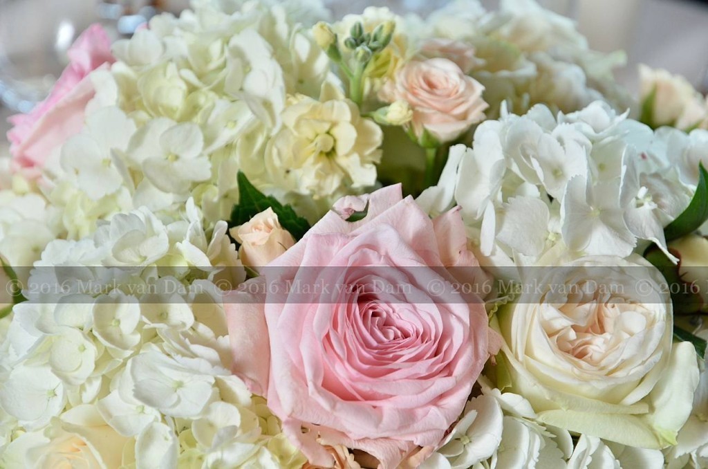 collingwood photographer georgian bay club wedding barrie photographer