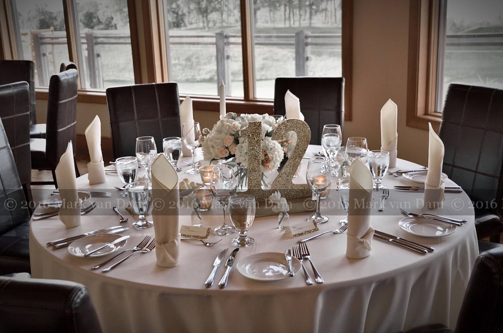 collingwood photographer georgian bay club wedding barrie photographer