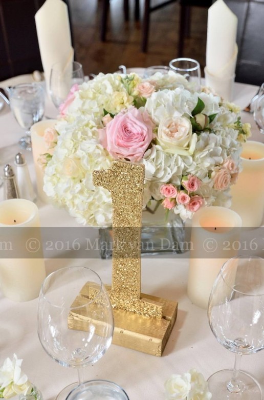 collingwood photographer georgian bay club wedding barrie photographer