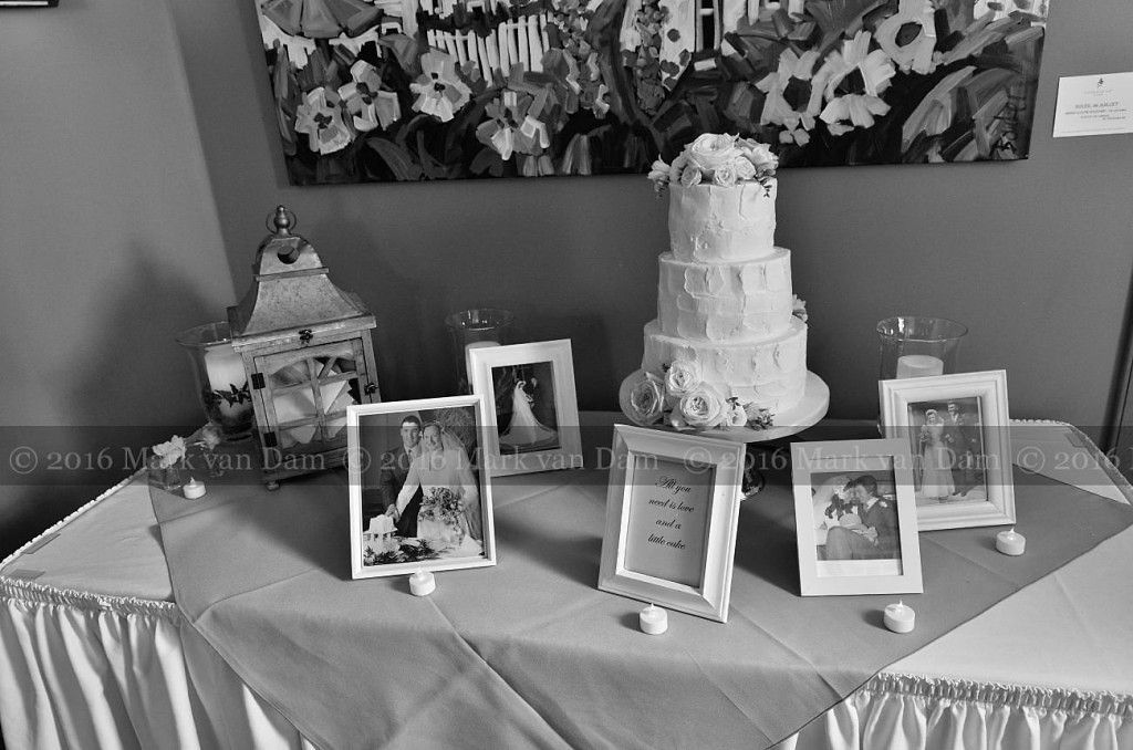 collingwood photographer georgian bay club wedding barrie photographer