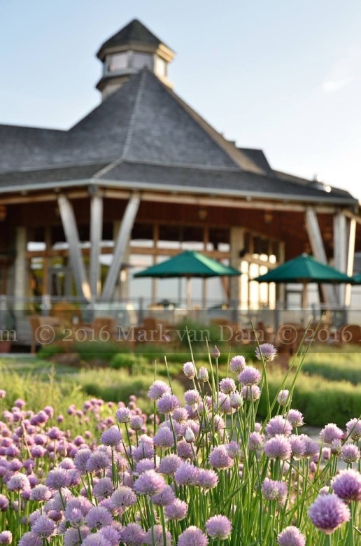 collingwood photographer georgian bay club wedding barrie photographer