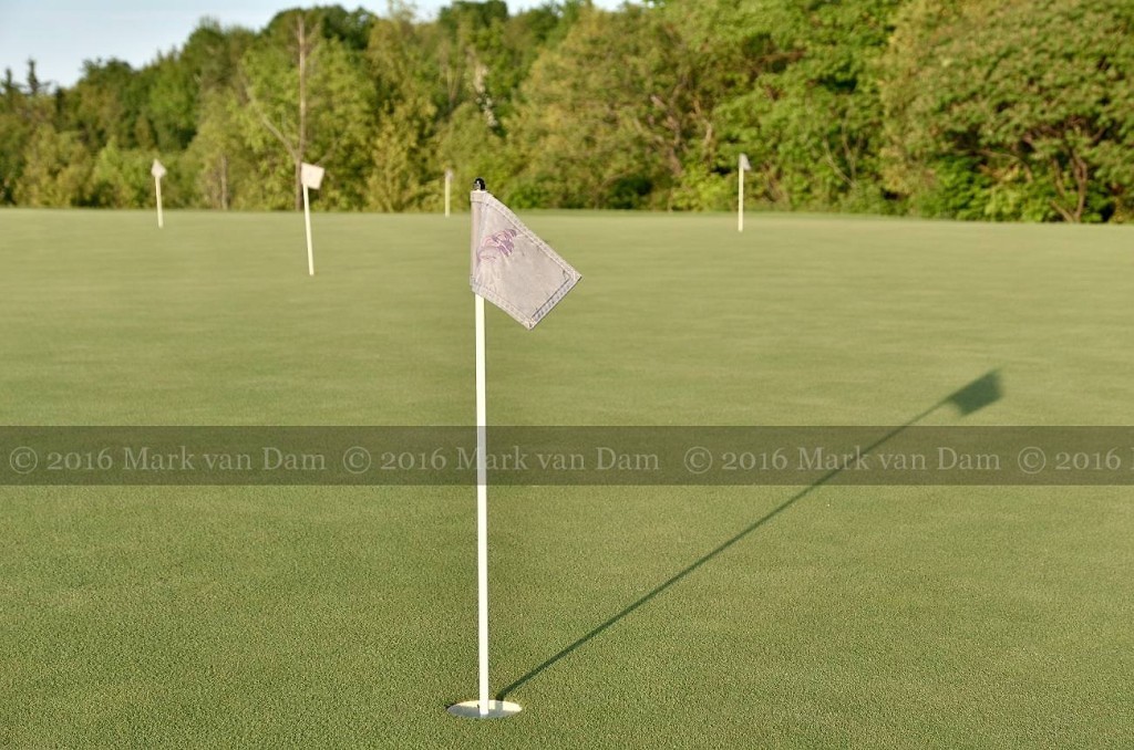 collingwood photographer georgian bay club wedding barrie photographer