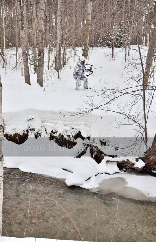 compound bow hunting photos winter A036
