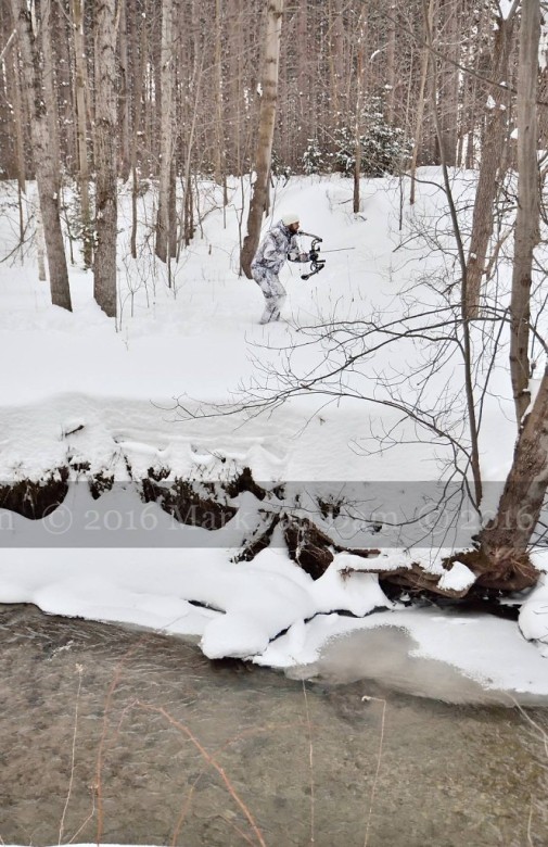 compound bow hunting photos winter A039