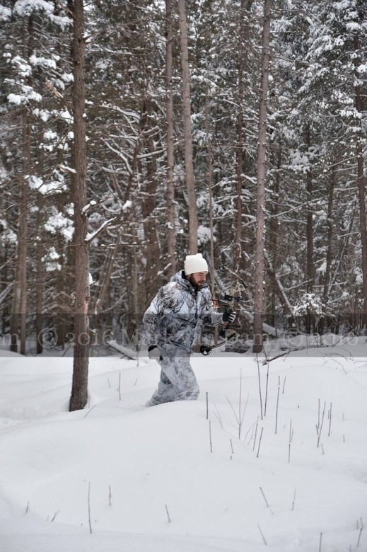 compound bow hunting photos winter A114