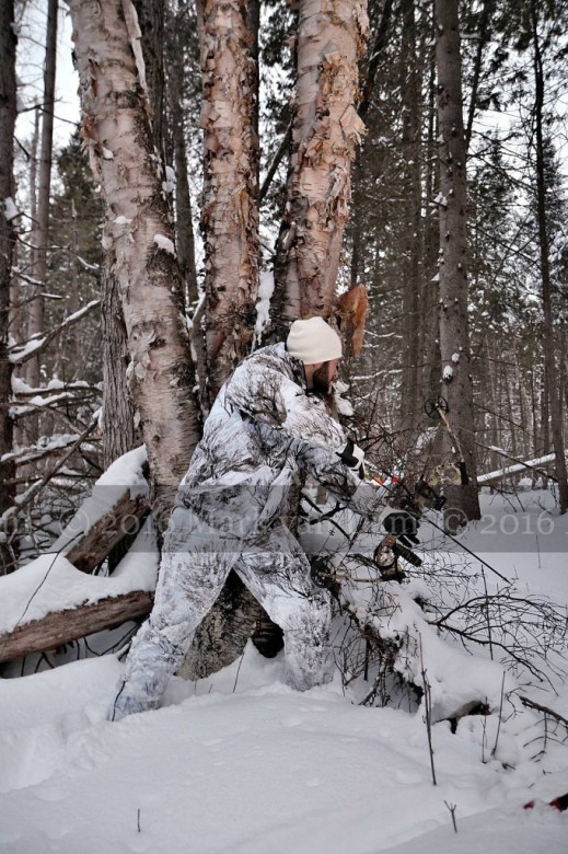 compound bow hunting photos winter A143