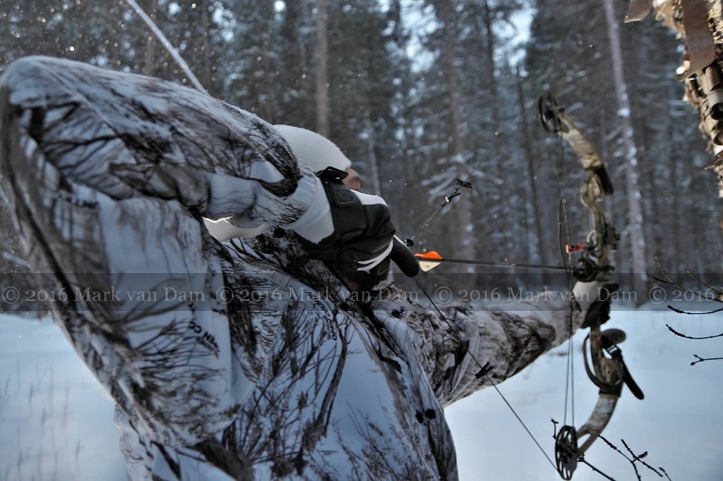 compound bow hunting photos winter A150