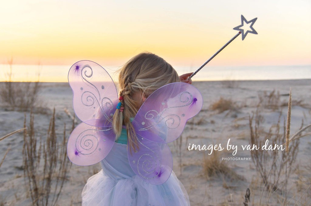 Magical Fairy Portraits
