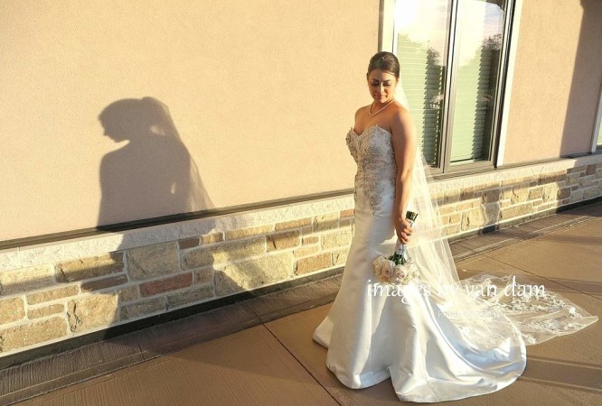 barrie photographer collingwood wedding orillia photography kawartha photographer