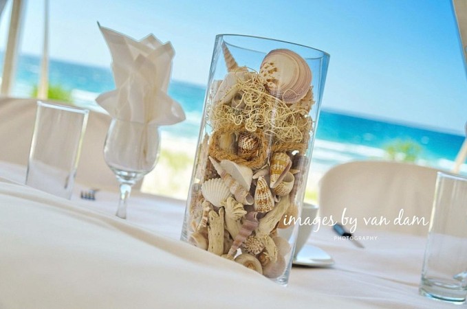 barrie photographer collingwood wedding orillia photography kawartha photographer