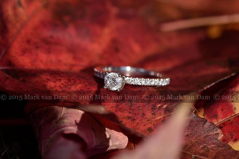 engagement ring on red maple leaf