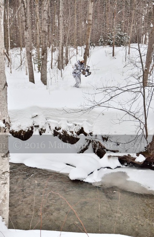 compound bow hunting photos winter A034