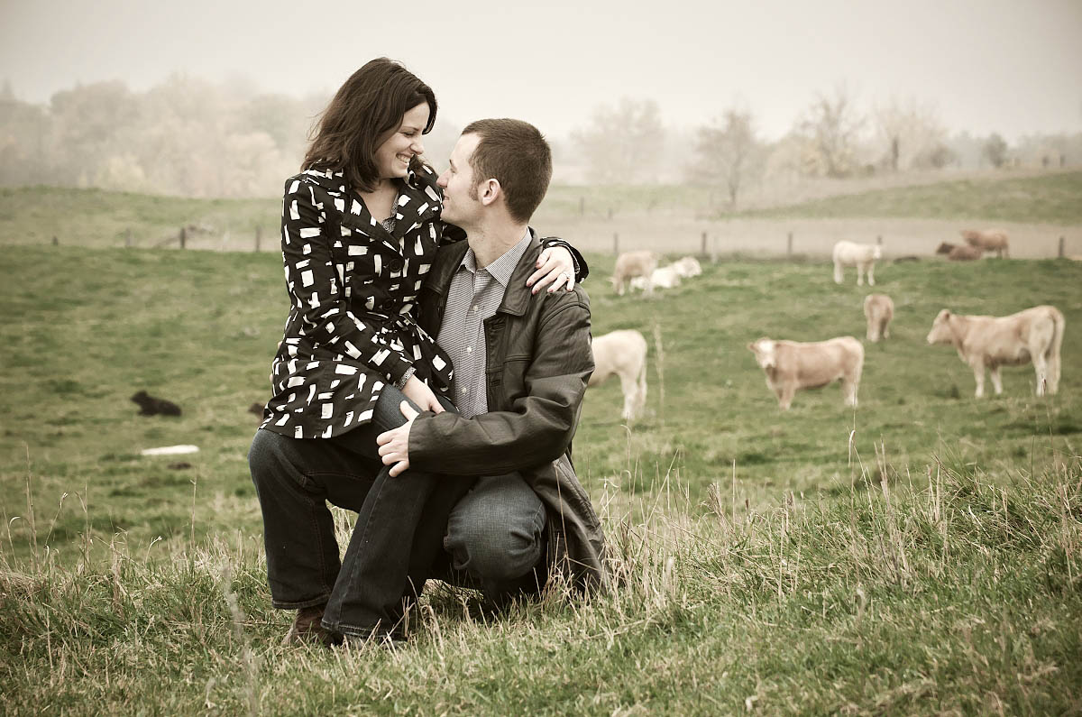 Couple kissing in farm field with cows and barn behind them at Omemee engagement session
