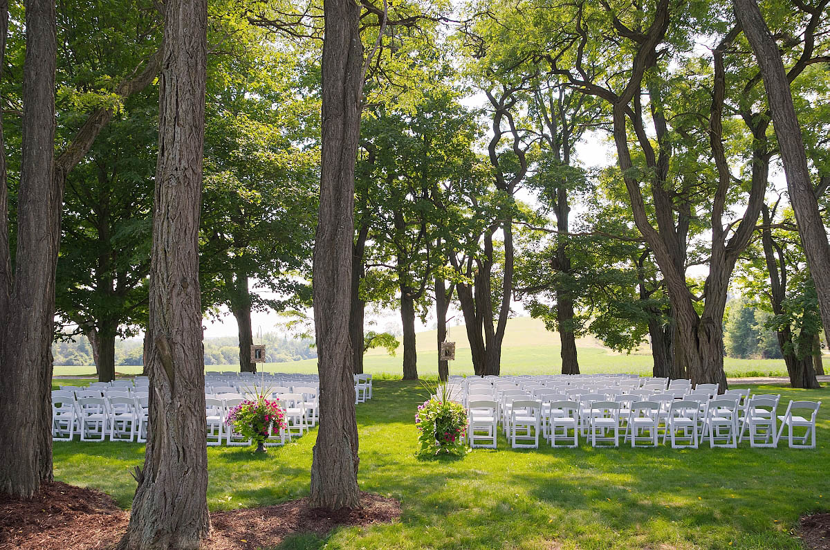 Omemee wedding ceremony location with chairs beneath giant maples on farm