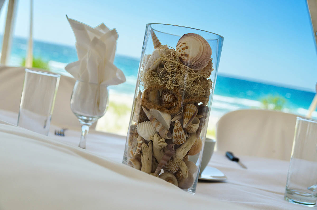 wasaga beach wedding bluewater beach photographer balm beach wedding tiny township wedding