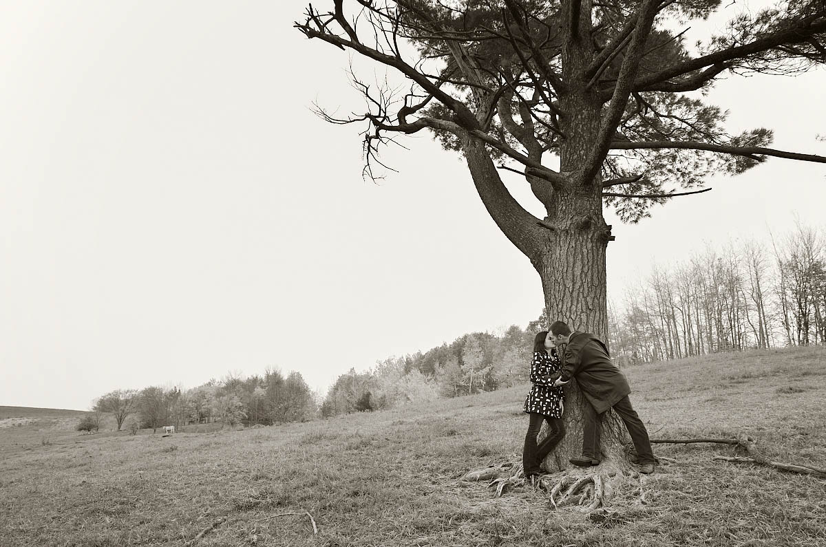 Young couple kisses by lone tree in farm field at country engagement session in Peterborough, Ontario
