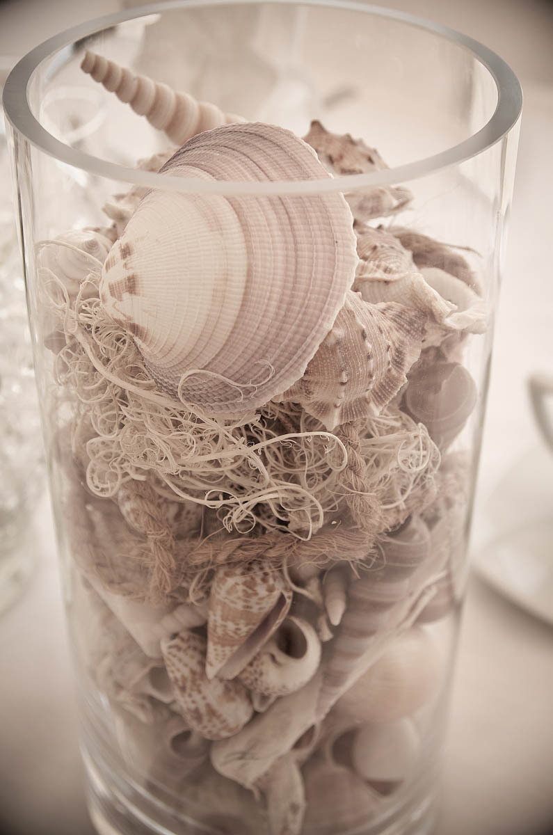 wasaga beach wedding bluewater beach photographer balm beach wedding tiny township wedding
