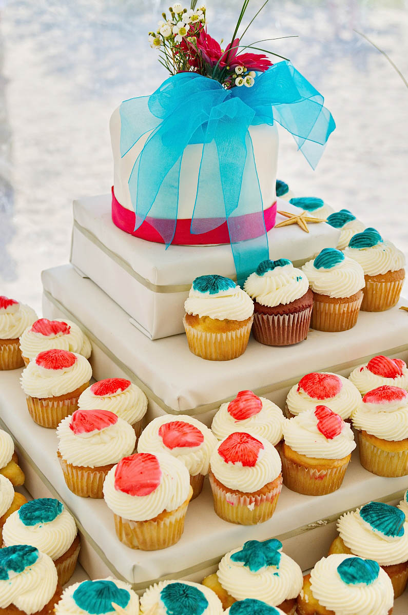 wasaga beach wedding bluewater beach photographer balm beach wedding tiny township wedding