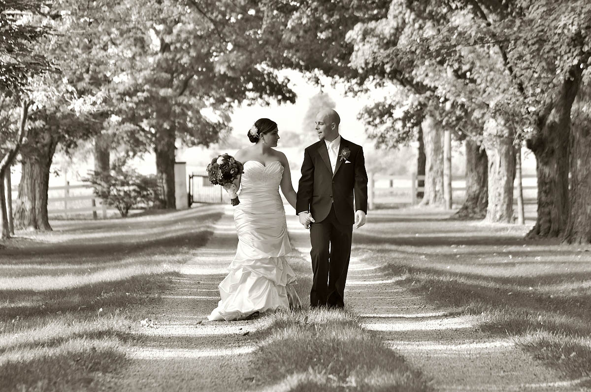 the laneway at belcroft