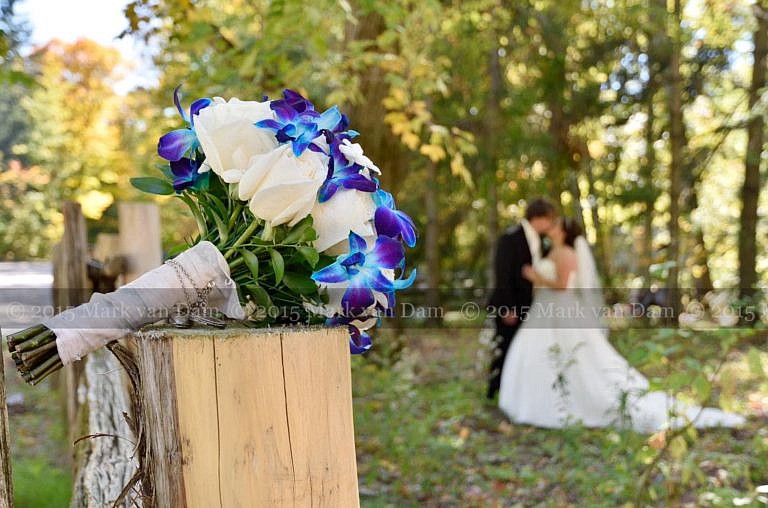 barrie photographer 235