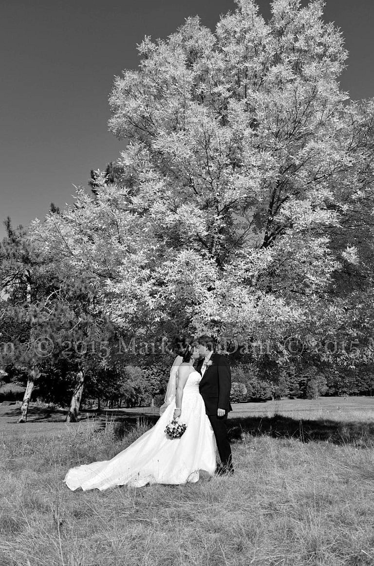 barrie photographer 249