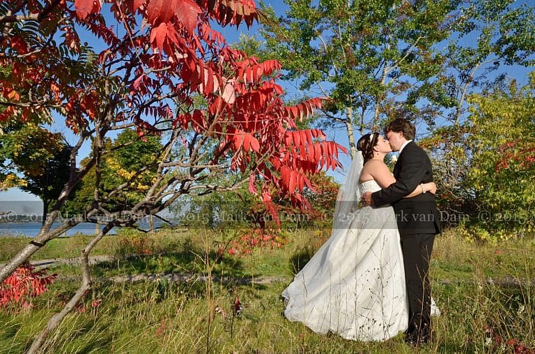 barrie photographer 309