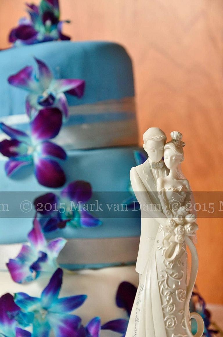 barrie photographer 358