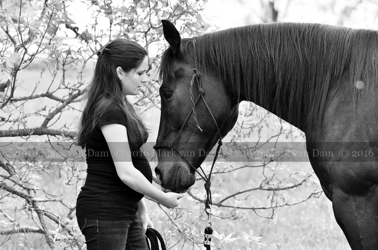 barrie maternity photographer collingwood maternity waaga maternity A197 edit