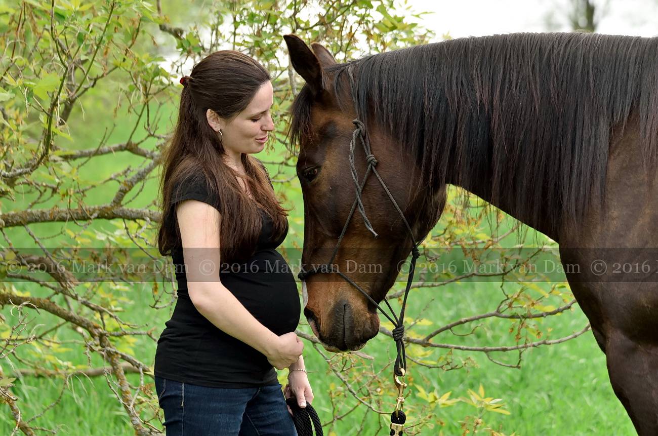 barrie maternity photographer collingwood maternity waaga maternity A212
