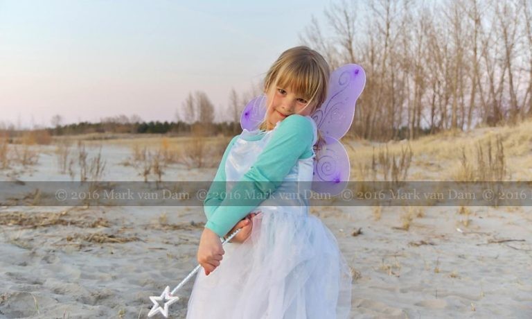 magical fairy portraits 17