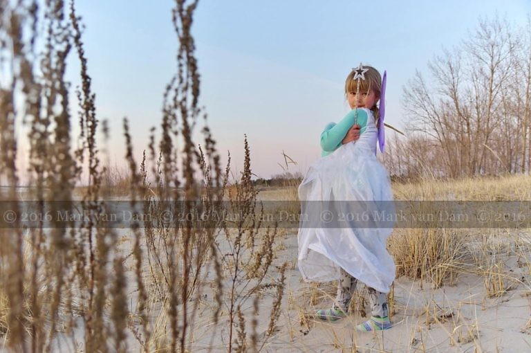 magical fairy portraits 18