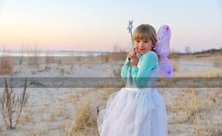 magical fairy portraits 19