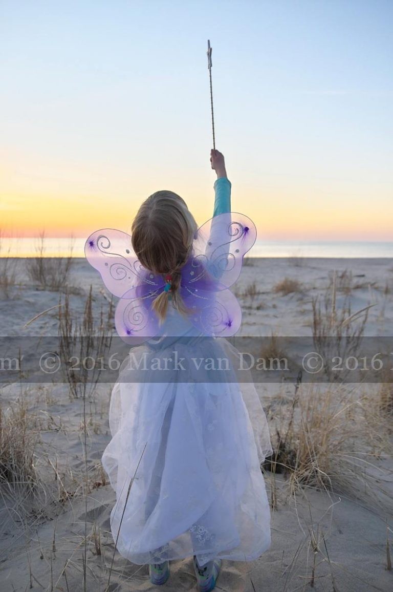 magical fairy portraits 21