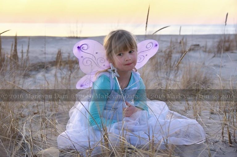 magical fairy portraits 22