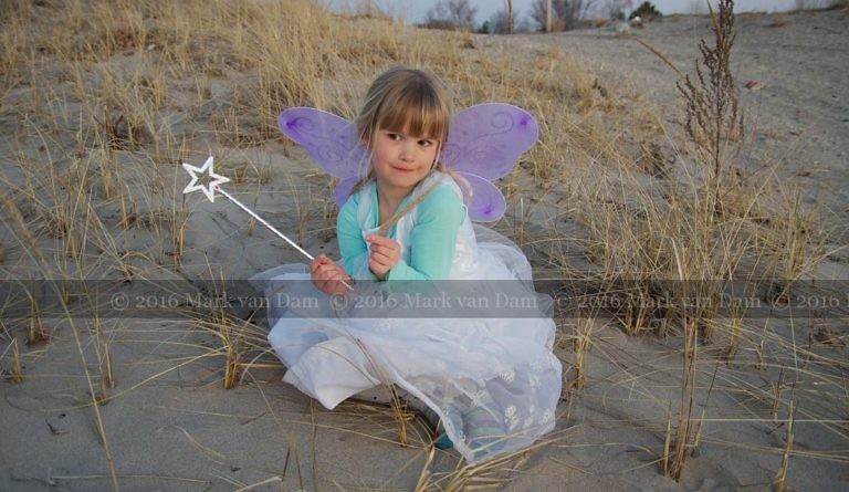 magical fairy portraits 23