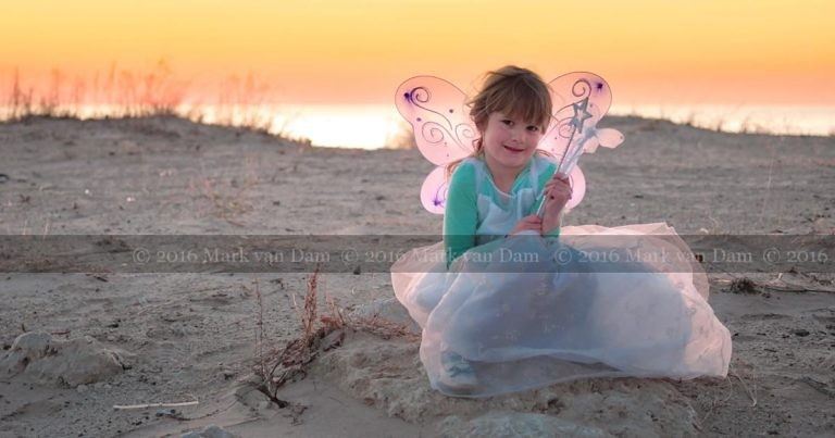 magical fairy portraits 24