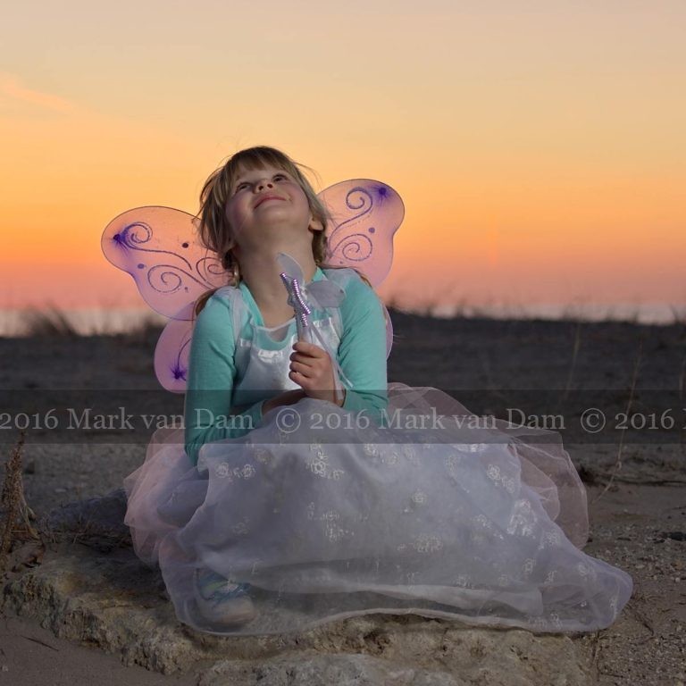 magical fairy portraits 25