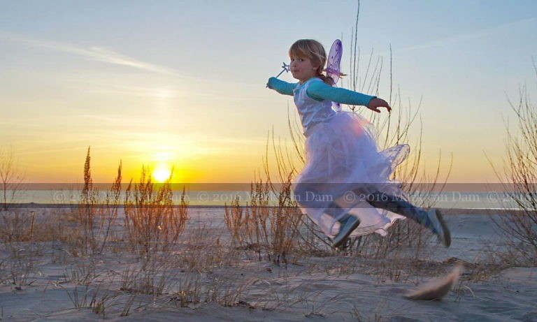 magical fairy portraits 8