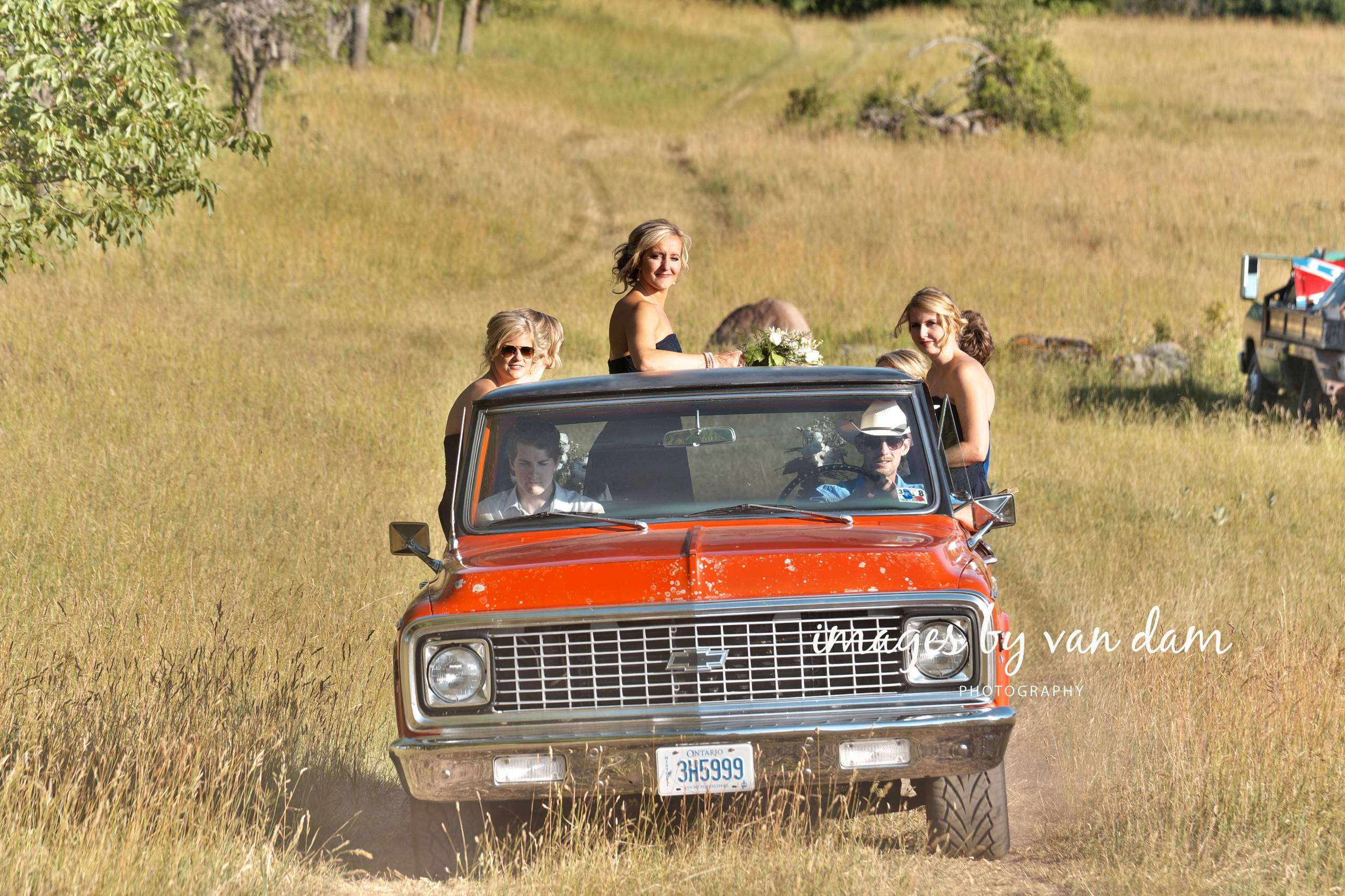 Wedding party rides in a pickup truck through farm fields at a Country Wedding