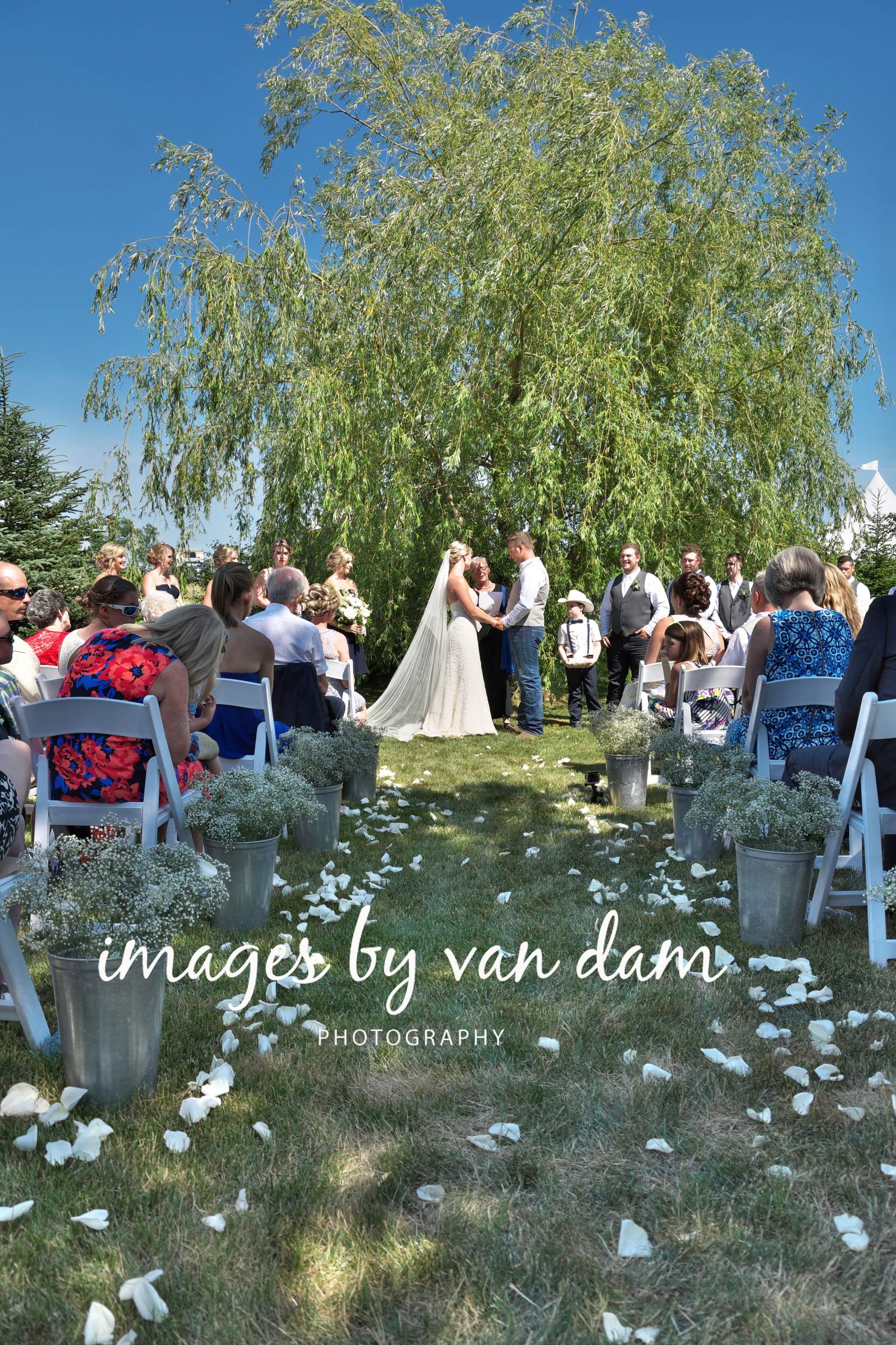 kawartha lakes wedding ceremony under giant willow tree