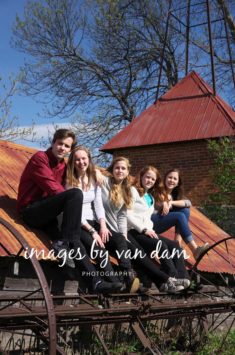 family portraits in the country barrie photographer singhampton photographer collingwood photographer
