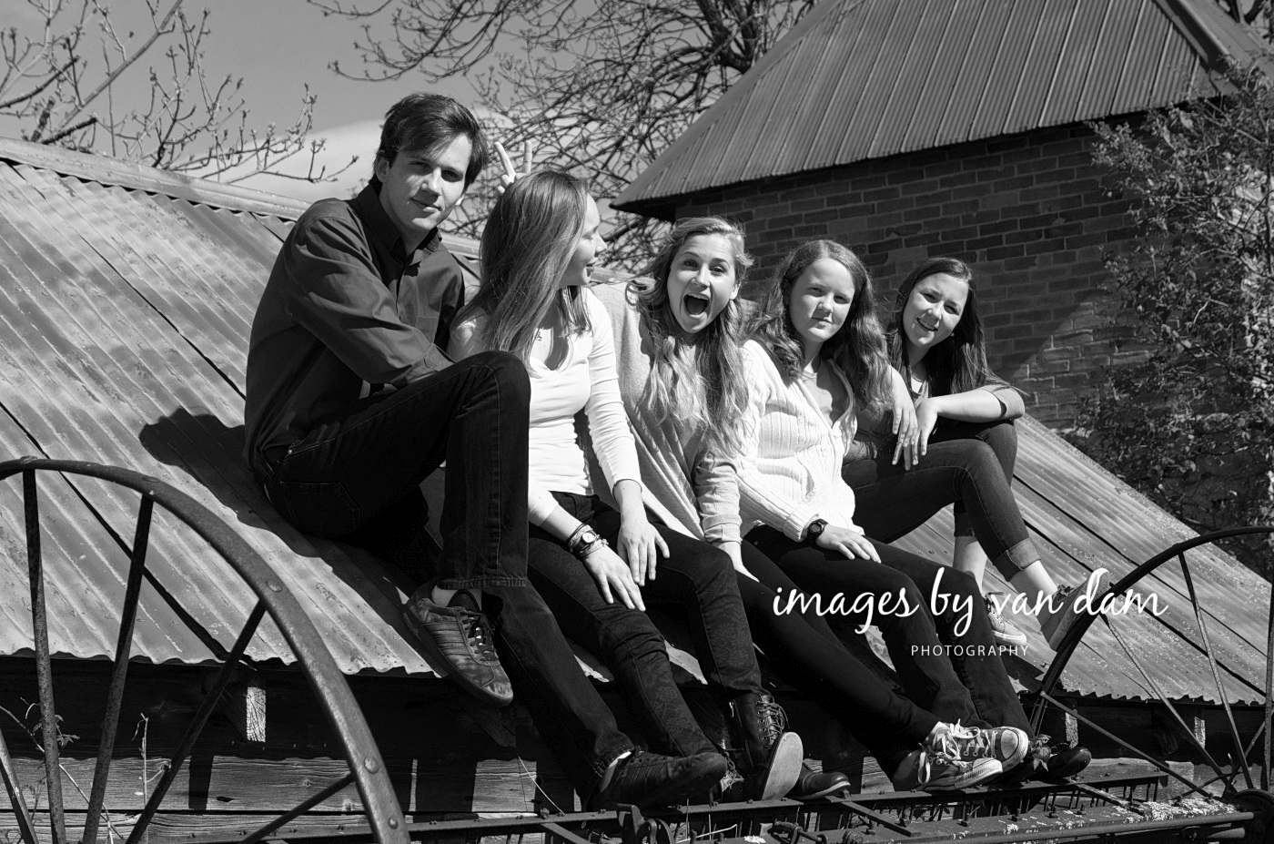 family portraits in the country barrie photographer singhampton photographer collingwood photographer