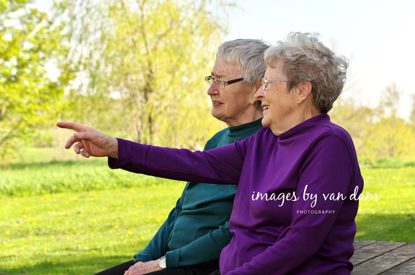 family portraits in the country barrie photographer singhampton photographer collingwood photographer