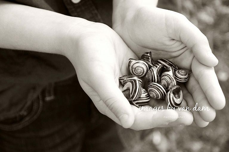 stayner photographer barrie photographer family portraits wasaga photographer collingwood photographer
