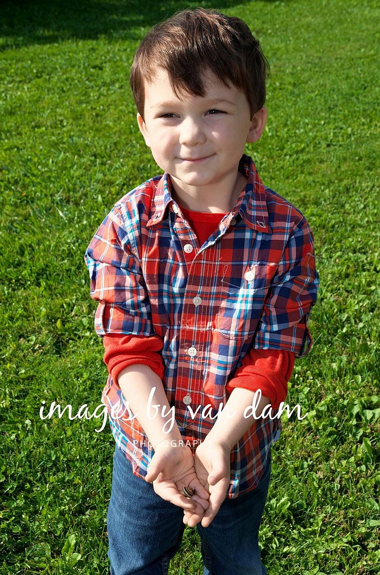 stayner photographer barrie photographer family portraits wasaga photographer collingwood photographer