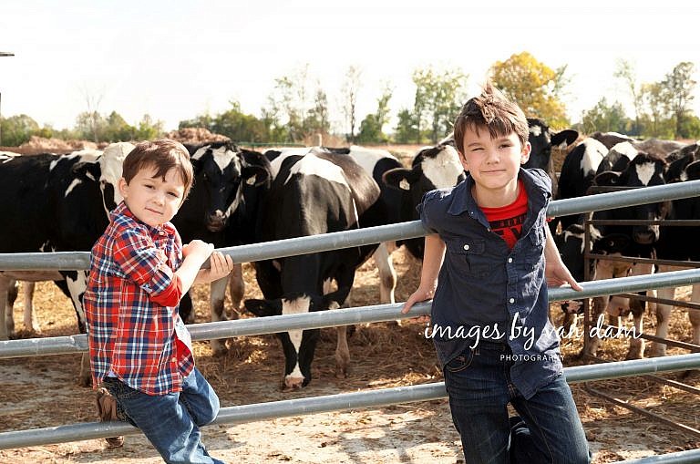 stayner photographer barrie photographer family portraits wasaga photographer collingwood photographer